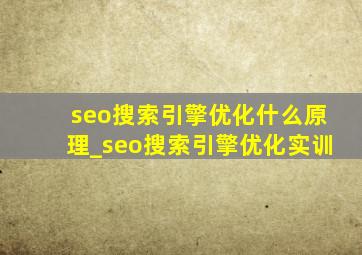 seo搜索引擎优化什么原理_seo搜索引擎优化实训