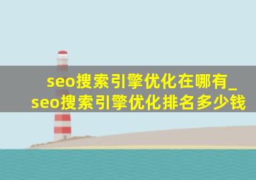 seo搜索引擎优化在哪有_seo搜索引擎优化排名多少钱
