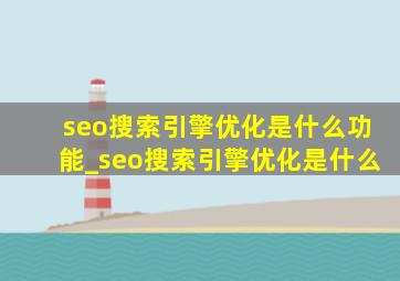 seo搜索引擎优化是什么功能_seo搜索引擎优化是什么
