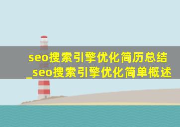 seo搜索引擎优化简历总结_seo搜索引擎优化简单概述