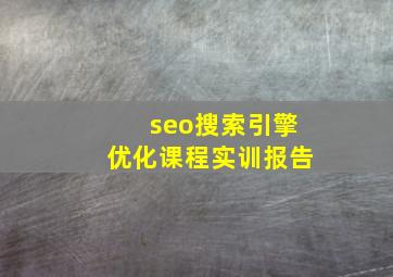 seo搜索引擎优化课程实训报告