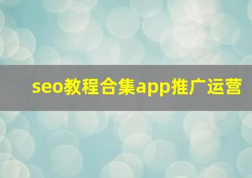seo教程合集app推广运营