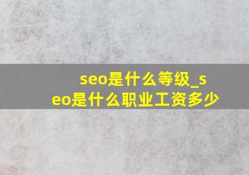 seo是什么等级_seo是什么职业工资多少