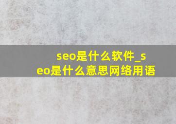 seo是什么软件_seo是什么意思网络用语