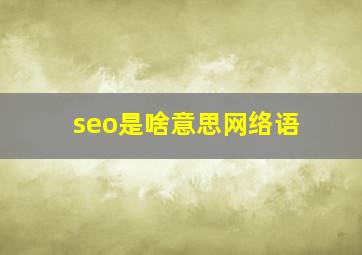 seo是啥意思网络语