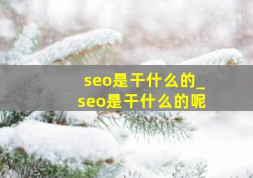 seo是干什么的_seo是干什么的呢