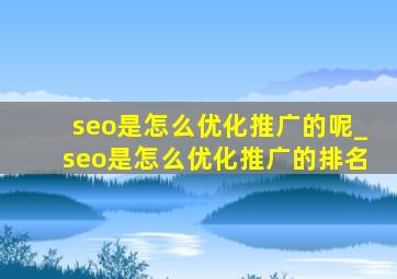 seo是怎么优化推广的呢_seo是怎么优化推广的排名