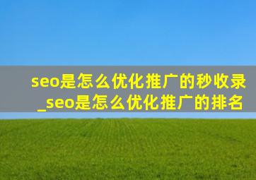 seo是怎么优化推广的秒收录_seo是怎么优化推广的排名
