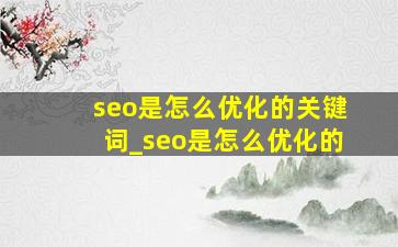 seo是怎么优化的关键词_seo是怎么优化的