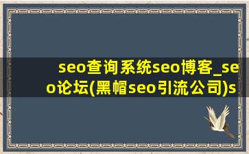 seo查询系统seo博客_seo论坛(黑帽seo引流公司)seo教程