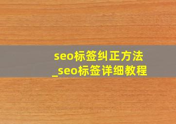 seo标签纠正方法_seo标签详细教程