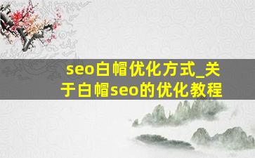 seo白帽优化方式_关于白帽seo的优化教程