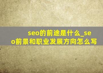 seo的前途是什么_seo前景和职业发展方向怎么写