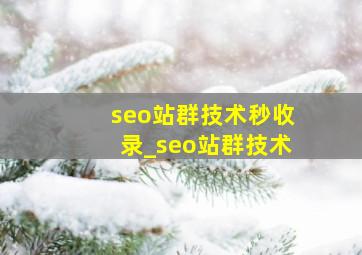 seo站群技术秒收录_seo站群技术