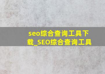 seo综合查询工具下载_SEO综合查询工具