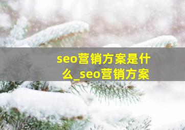 seo营销方案是什么_seo营销方案