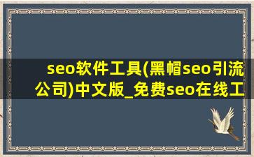 seo软件工具(黑帽seo引流公司)中文版_免费seo在线工具软件下载