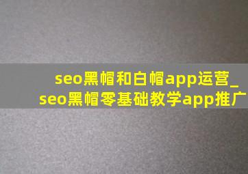seo黑帽和白帽app运营_seo黑帽零基础教学app推广
