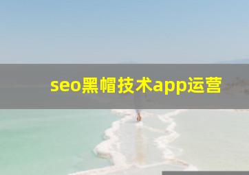 seo黑帽技术app运营