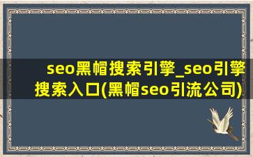 seo黑帽搜索引擎_seo引擎搜索入口(黑帽seo引流公司)
