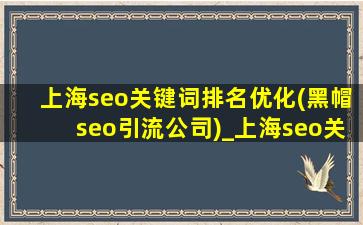 上海seo关键词排名优化(黑帽seo引流公司)_上海seo关键词排名优化