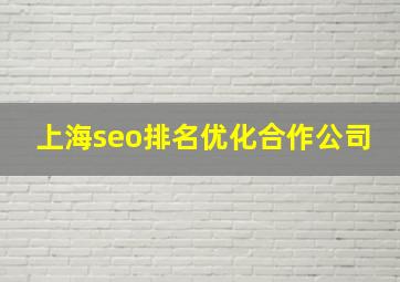 上海seo排名优化合作公司