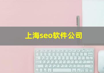 上海seo软件公司
