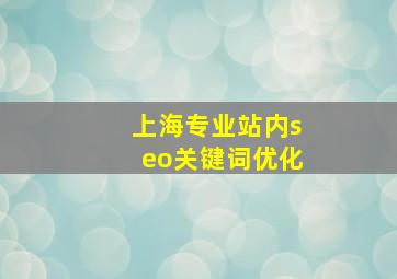 上海专业站内seo关键词优化