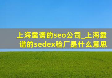 上海靠谱的seo公司_上海靠谱的sedex验厂是什么意思