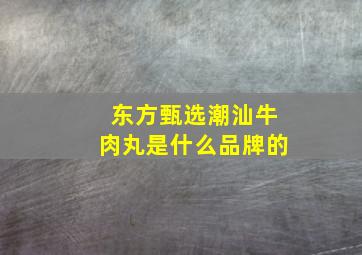 东方甄选潮汕牛肉丸是什么品牌的