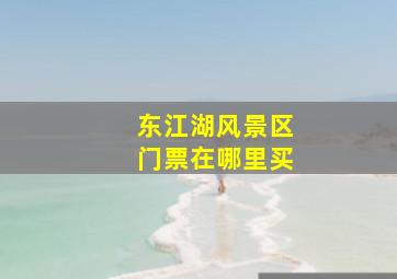 东江湖风景区门票在哪里买