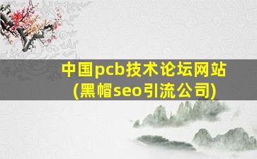 中国pcb技术论坛网站(黑帽seo引流公司)