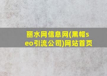 丽水网信息网(黑帽seo引流公司)网站首页