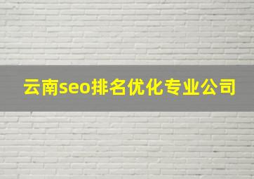 云南seo排名优化专业公司