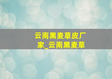 云南黑麦草皮厂家_云南黑麦草