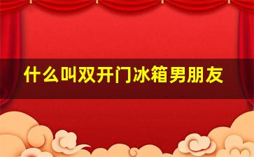 什么叫双开门冰箱男朋友