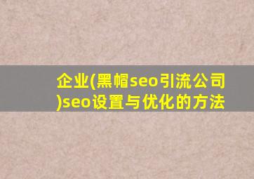 企业(黑帽seo引流公司)seo设置与优化的方法
