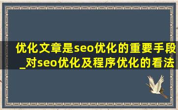 优化文章是seo优化的重要手段_对seo优化及程序优化的看法