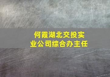 何霞湖北交投实业公司综合办主任