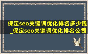 保定seo关键词优化排名多少钱_保定seo关键词优化排名公司