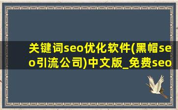 关键词seo优化软件(黑帽seo引流公司)中文版_免费seo关键词优化软件下载