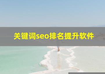 关键词seo排名提升软件
