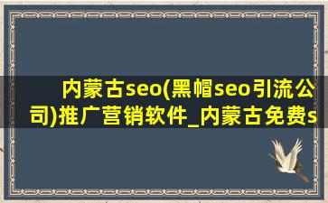 内蒙古seo(黑帽seo引流公司)推广营销软件_内蒙古免费seo营销软件推广平台