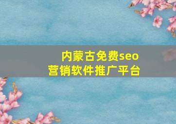 内蒙古免费seo营销软件推广平台