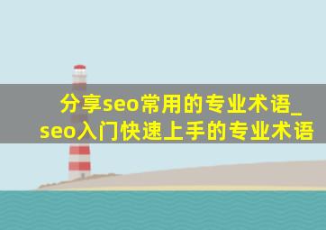 分享seo常用的专业术语_seo入门快速上手的专业术语