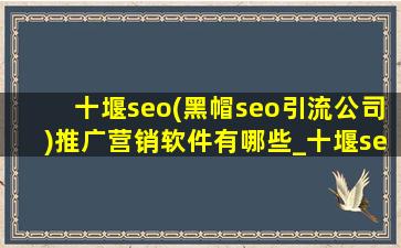 十堰seo(黑帽seo引流公司)推广营销软件有哪些_十堰seo(黑帽seo引流公司)推广营销软件