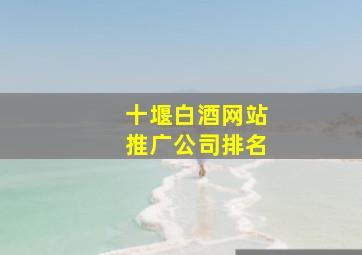 十堰白酒网站推广公司排名