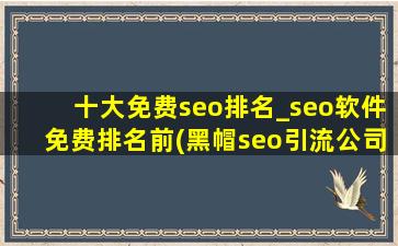 十大免费seo排名_seo软件免费排名前(黑帽seo引流公司)