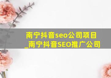 南宁抖音seo公司项目_南宁抖音SEO推广公司