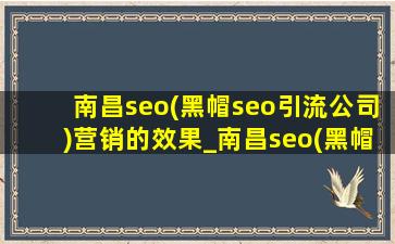 南昌seo(黑帽seo引流公司)营销的效果_南昌seo(黑帽seo引流公司)营销的作用